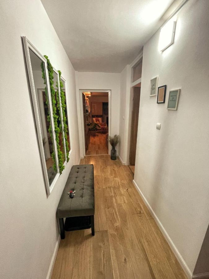 Magnolia Stay Bistriţa Buitenkant foto
